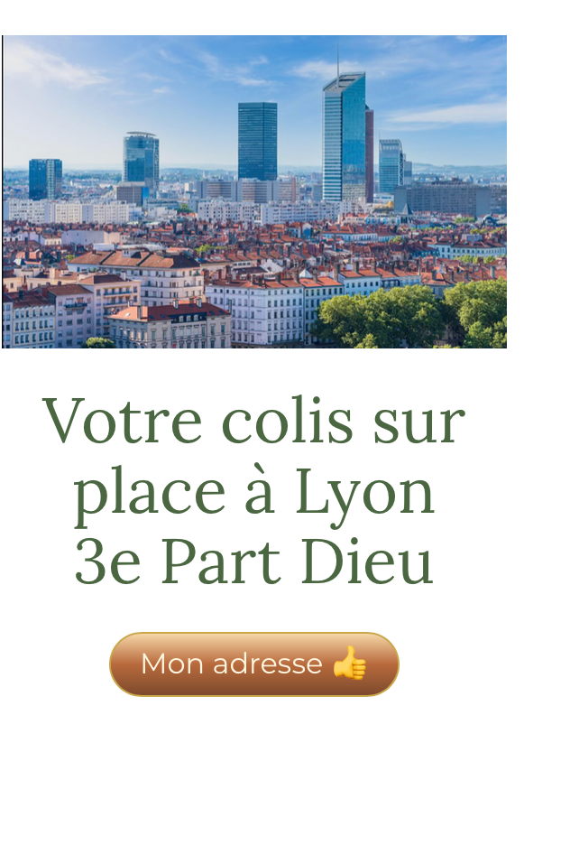 Votre colis sur place à Lyon 3e   Part Dieu
