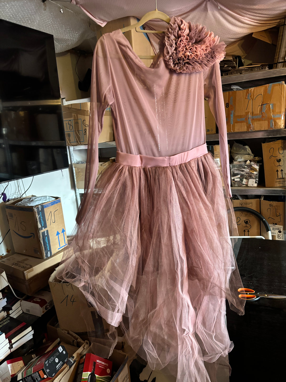 Robe tulle élégante style ballet – Rose poudré
