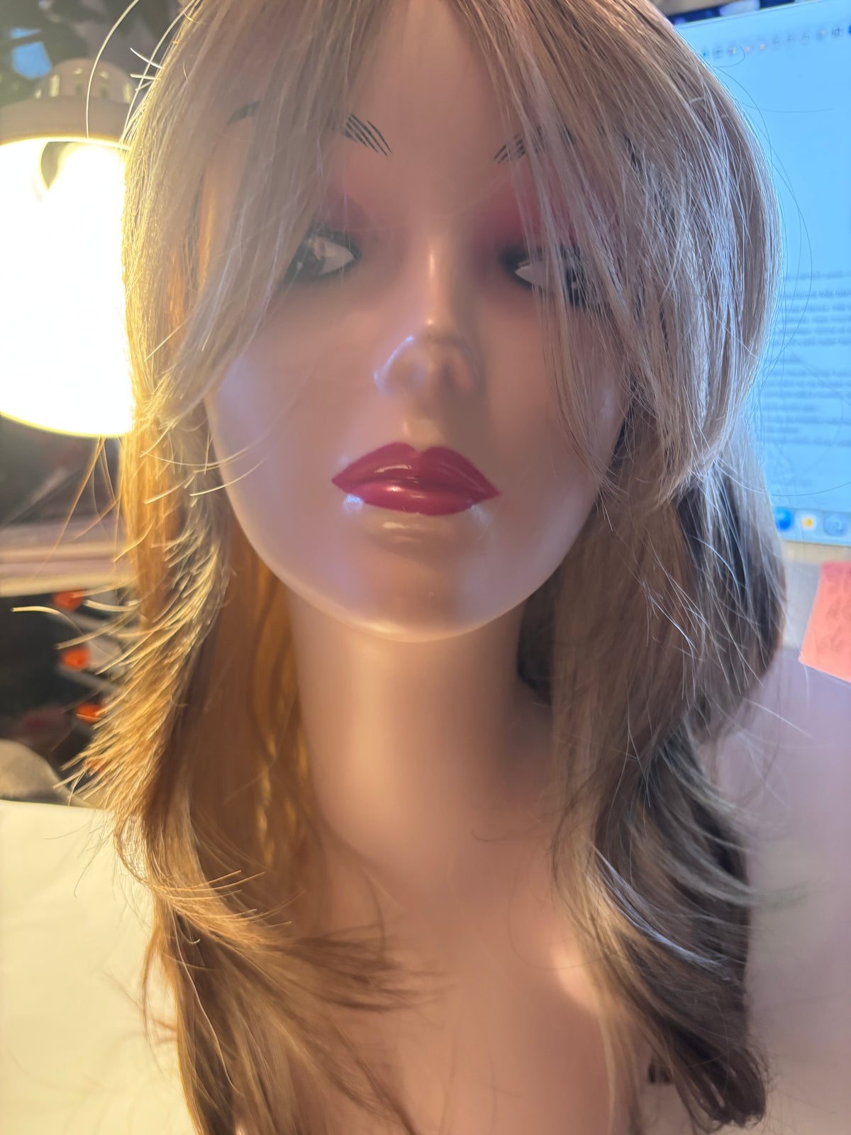 Long two-tone blonde/brown wig
