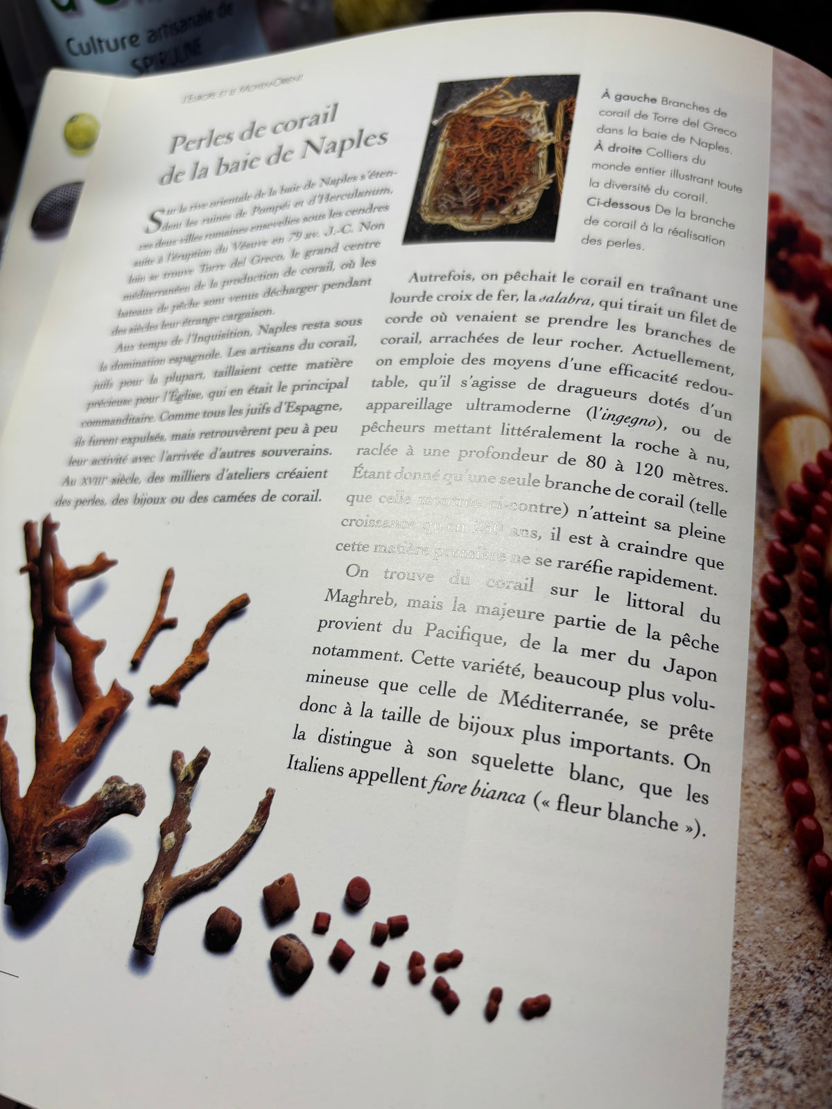 LE MONDE DES PERLES
