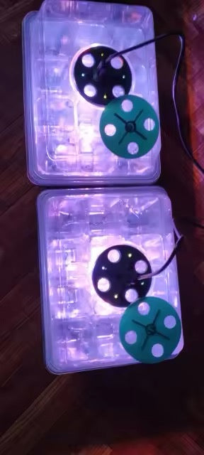 MINI SERRE POUR SEMIS AVEC ÉCLAIRAGE LED –
