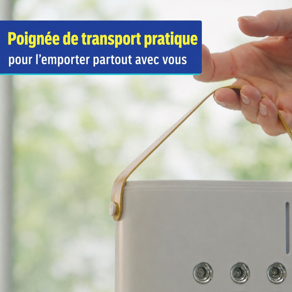 Ventilateur avec télécommande et brunisseur