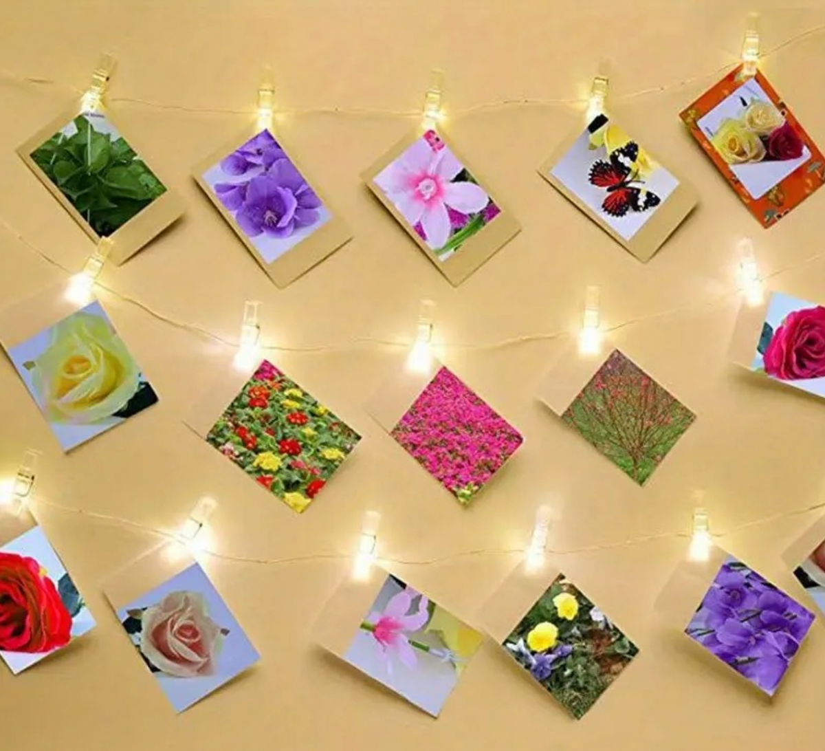 ✨ Guirlande lumineuse à photos – 40 LED &amp; 40 mini pinces ✨
