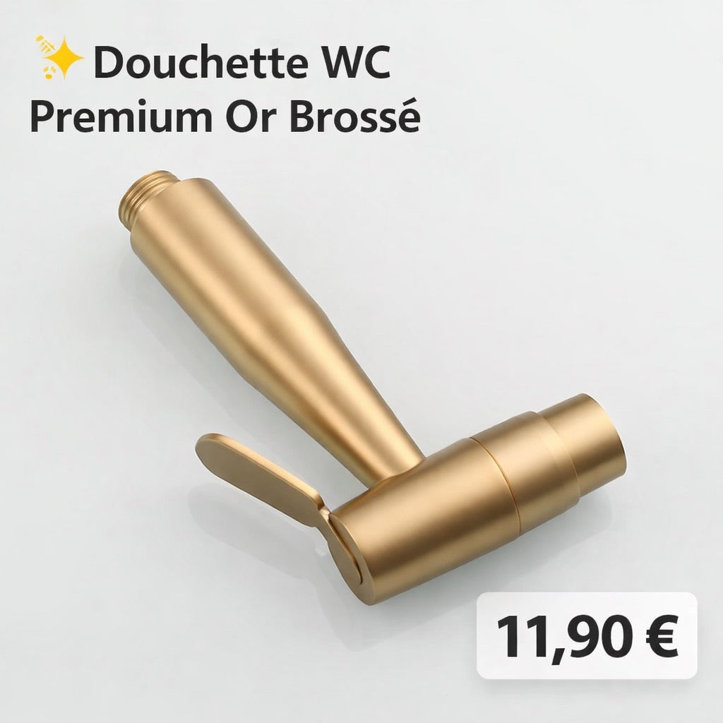 Handbrause gebürsteter Stahl or pretium