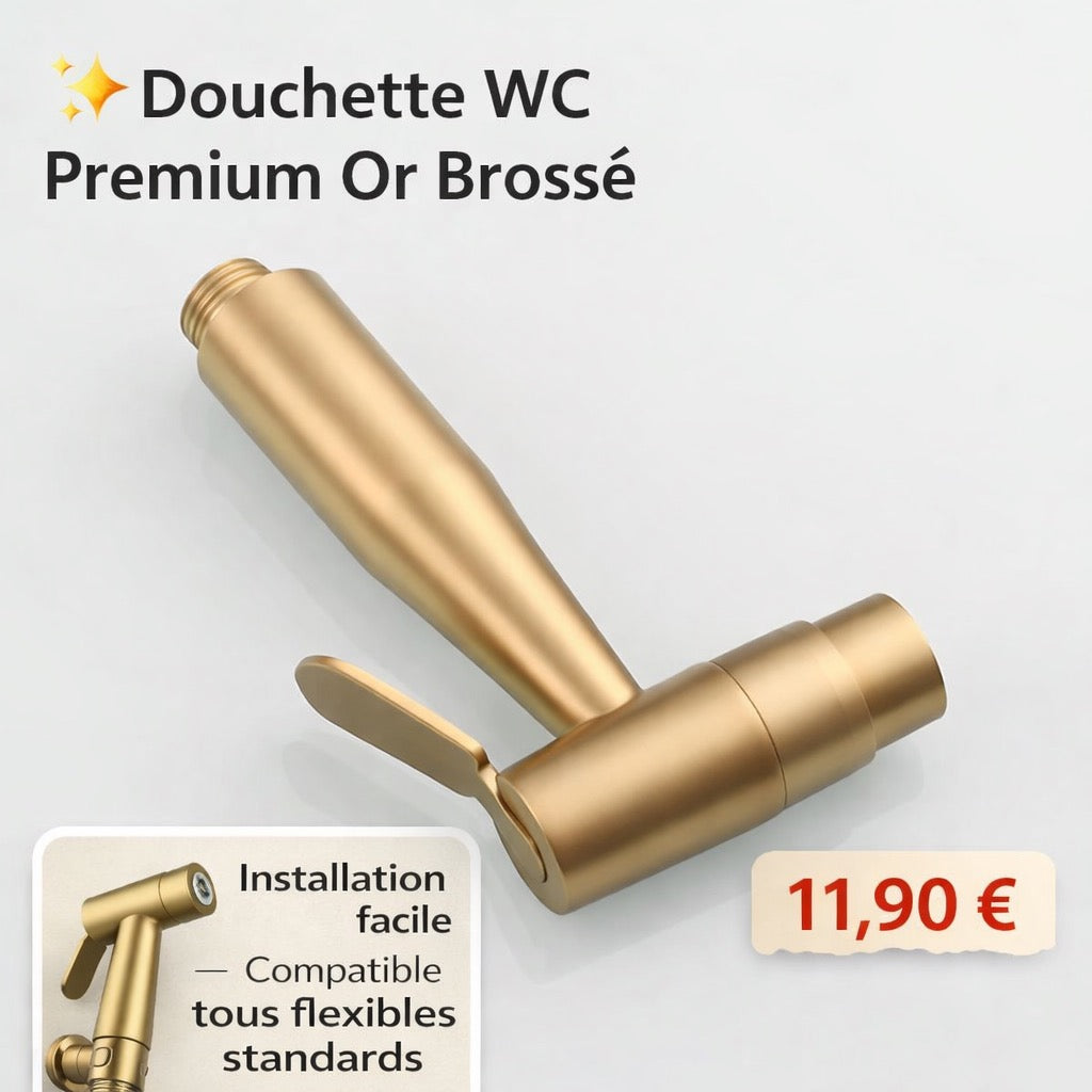 Handbrause gebürsteter Stahl or pretium