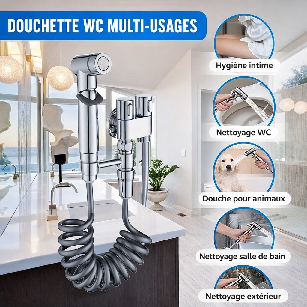 Douchette argent complète