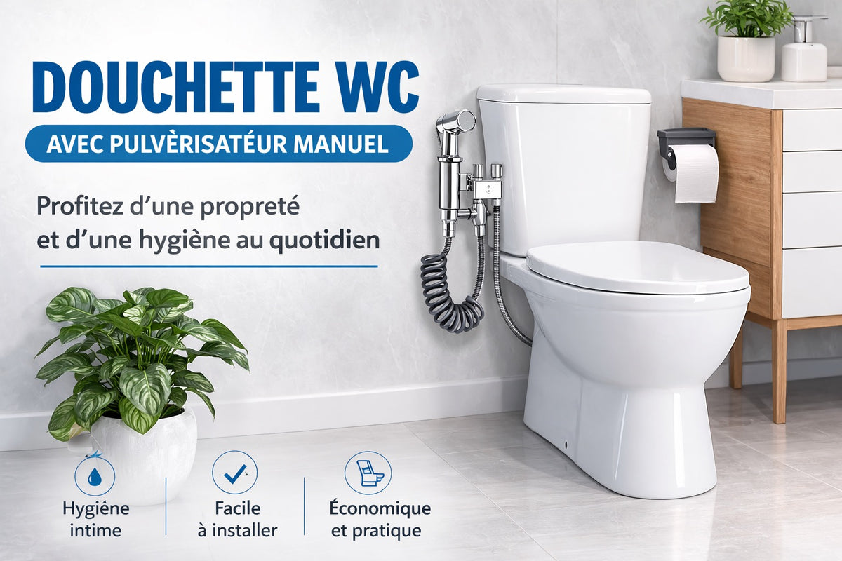 Douchette argent complète