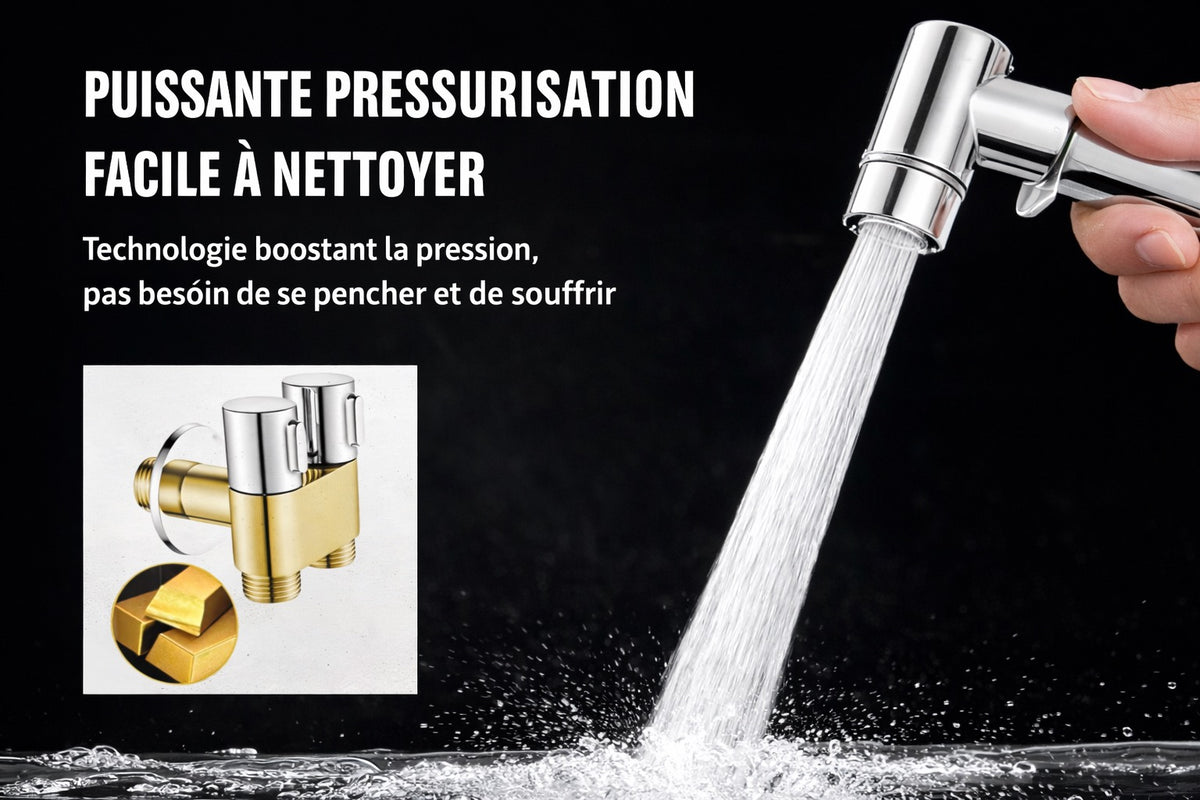 Douchette argent complète