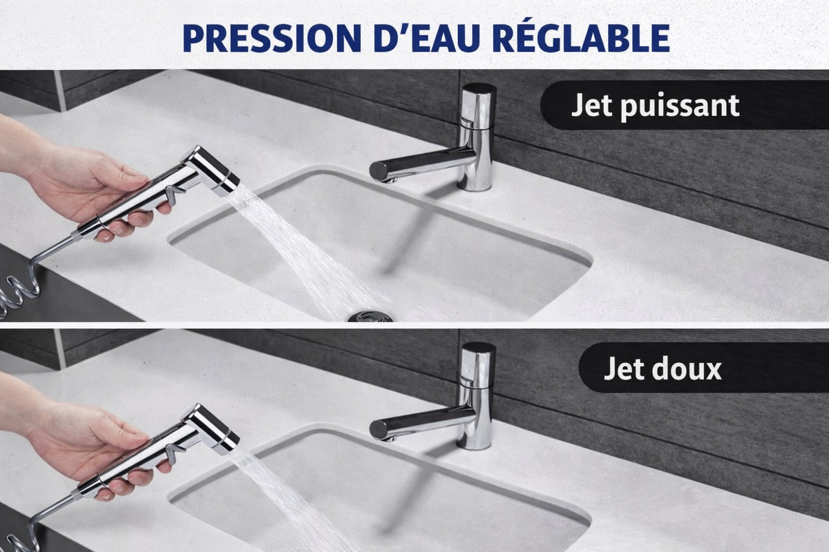 Douchette argent complète