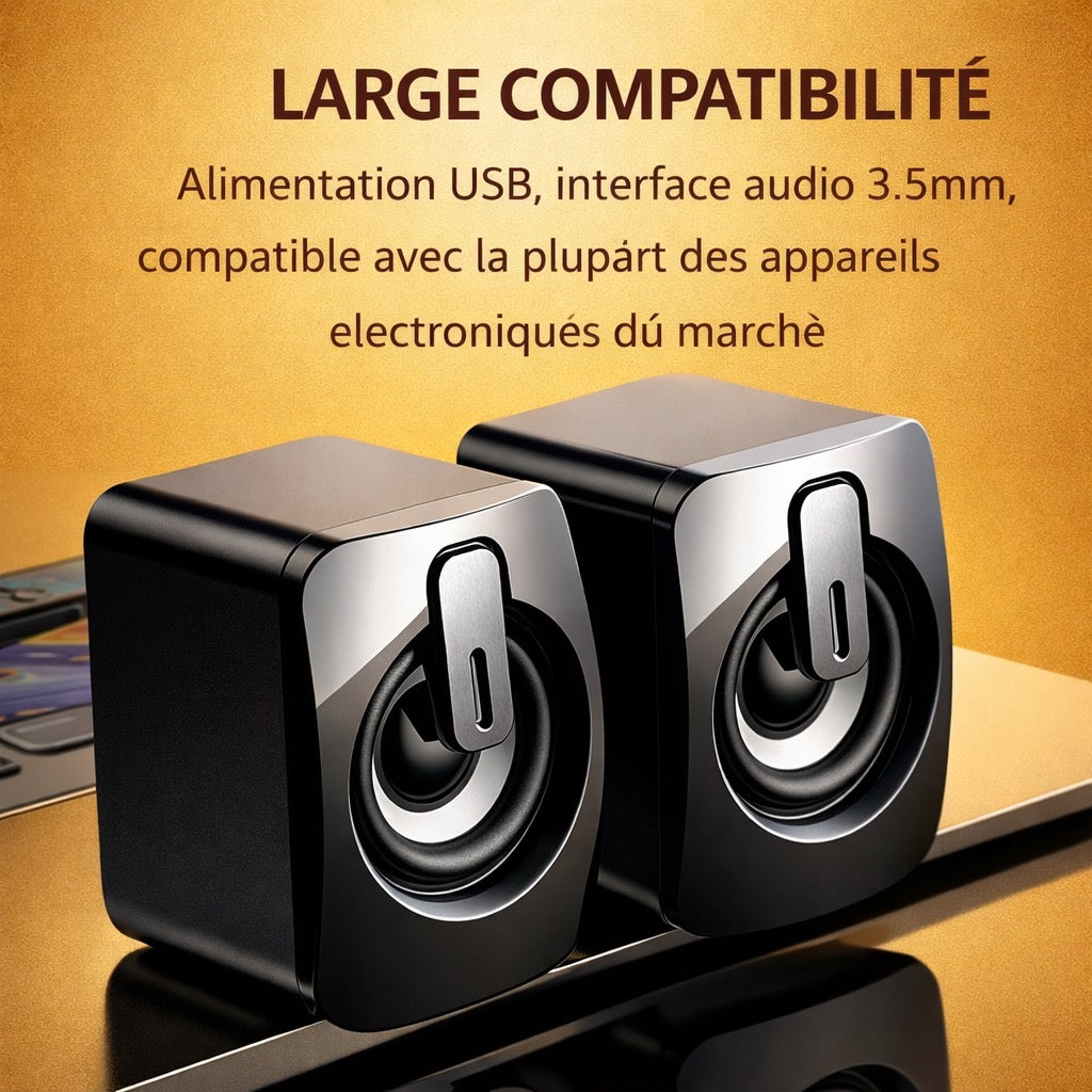 Mini haut parleur ordinateur